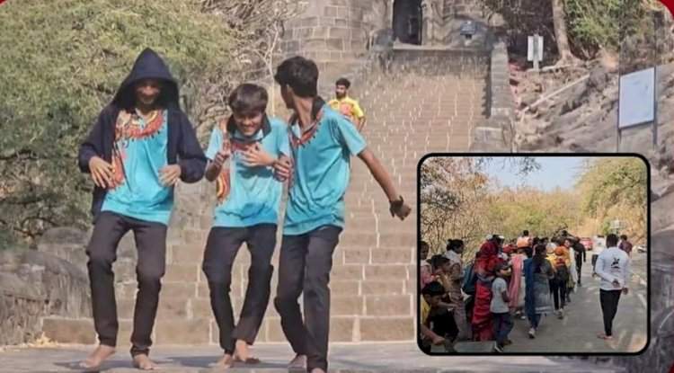 शिवनेरी किल्ल्यावर गेलेल्या पर्यटकांवर मधमाश्यांचा हल्ला, ५० हून अधिक पर्यटक जखमी