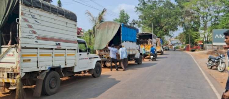 गुरे वाहतूक करणारा टेम्पो दोडामार्गात रोखला