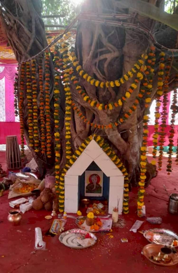 श्री महापुरुष देवालय कासार्डे येथे २ मे रोजी धार्मिक कार्यक्रमांचे आयोजन