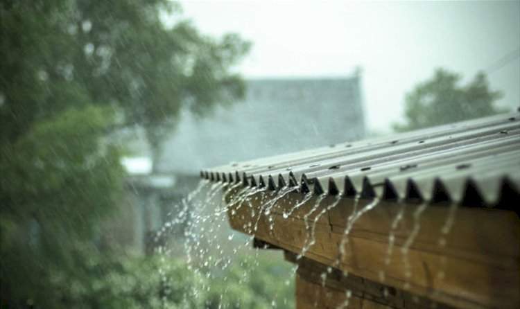 सिंधुदुर्गात वळवामुळे आंबा, काजू, कोकम पीक धोक्यात