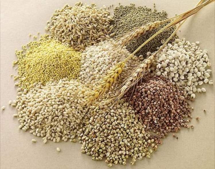 पौष्टिक तृणधान्य उपअभियान (श्रीअन्न) पिक प्रात्यक्षिकासाठी २९ मेपर्यंत अर्ज करण्याचे आवाहन