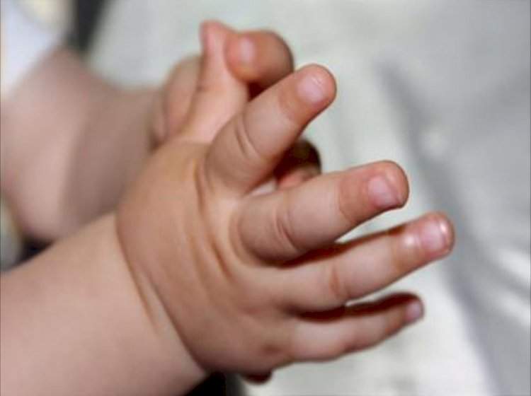 मालवण येथे आढळले स्त्री जातीचे नवजात अर्भक