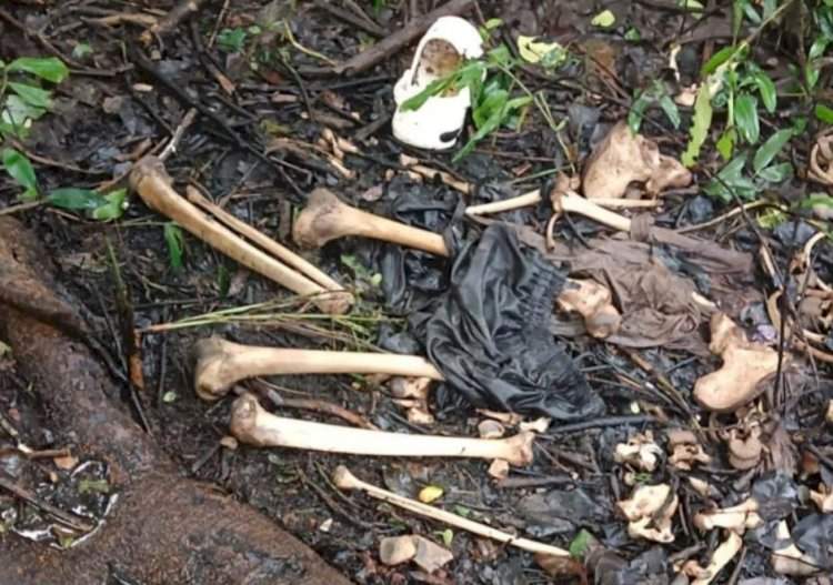 मालवण नांदोस जंगलात सडलेल्या अवस्थेत सापडली  मृतदेहाची हाडे