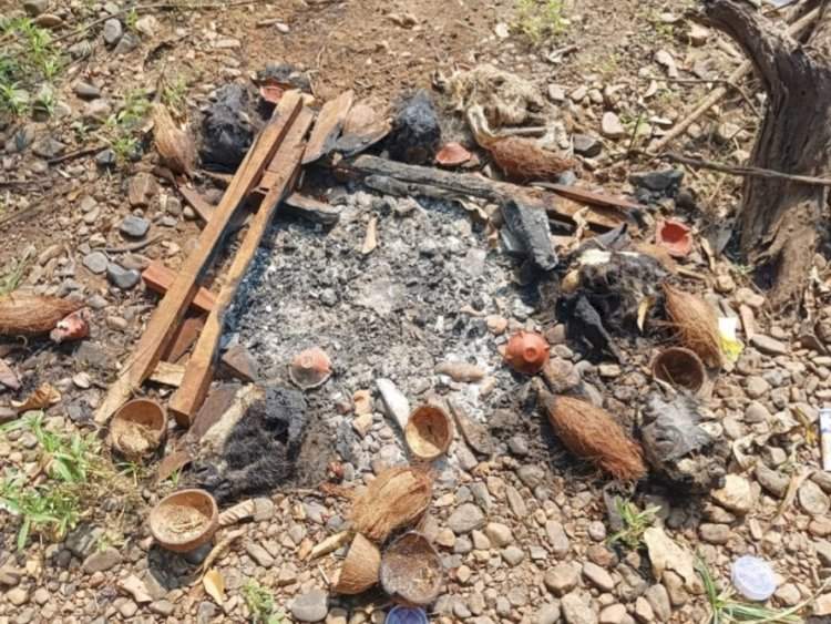 तिलारी खोऱ्यातील तेरवण-मेढे परिसरात सापडली बकऱ्यांची पाच कापलेली मुंडकी