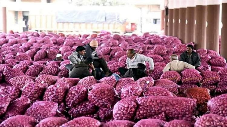 आखाती देशातील युद्धाचा थेट फटका; दुबई बाजारपेठ बंद.....जेएनपीएबाहेर १५०हून अधिक कांद्याचे कंटेनर अडकले!