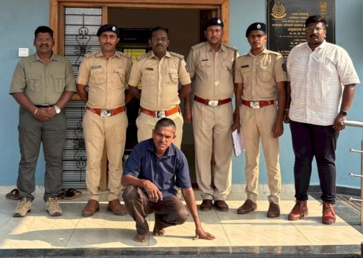 नेरुरच्या जंगलात वनविभागाची मोठी कारवाई