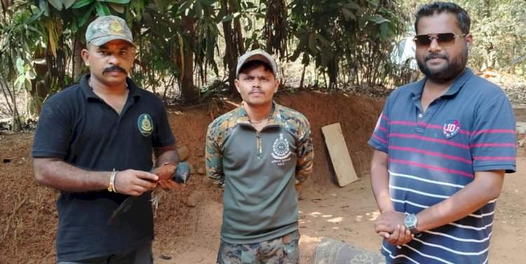 सावंतवाडीत जखमी भारद्वाज पक्षाला मिळाले जीवदान