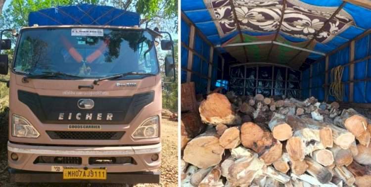इन्सुली येथे तब्बल १० लाखांचा खैर लाकडाचा साठा जप्त
