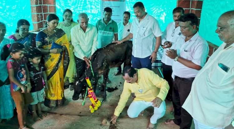 फोंडाघाट येथे 'लक्ष्मीकांत गोशाळे'चे उद्घाटन.....देशी गायींच्या सान्निध्यातून कॅन्सरवर उपचाराचा नवा प्रयोग