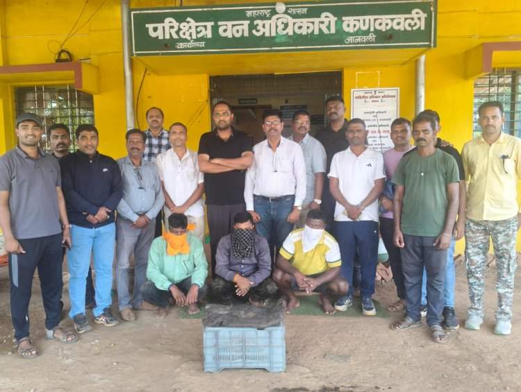 देवगड येथे ८ कोटींची अंबर ग्रीस जप्त, तिघांना अटक  