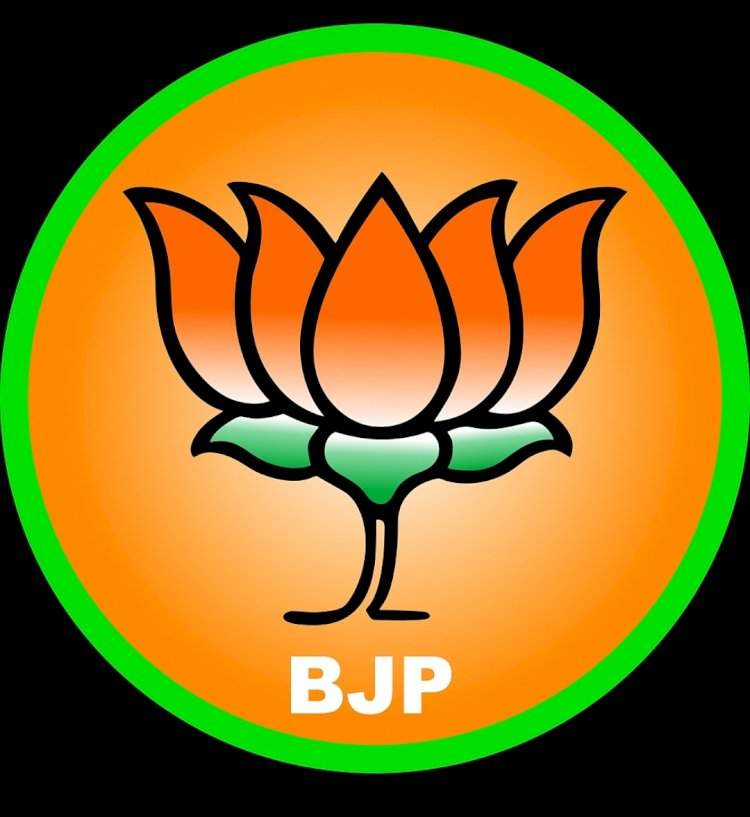 भाजपकडून १२ जागांसाठी तब्बल ४८ नावे चर्चेत.....प्रदेशाध्यक्ष रविंद्र चव्हाण दिल्ली दौऱ्यावर
