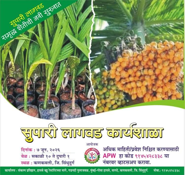 कणकवलीत ७ जून रोजी सुपारी लागवड कार्यशाळा.....३१ मे पर्यंत नोंदणी करणाऱ्यांना विशेष सवलत