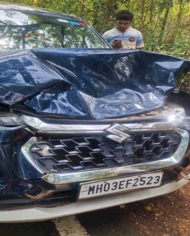 गव्याची पर्यटकांच्या गाडीला जोरदार धडक