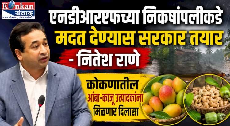 एनडीआरएफच्या निकषांपलीकडे मदत देण्यास सरकार तयार-नितेश राणे....कोकणातील आंबा-काजू उत्पादकांना मिळणार दिलासा.