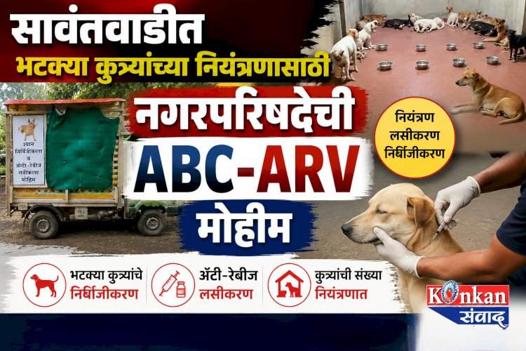 सावंतवाडीत भटक्या कुत्र्यांच्या नियंत्रणासाठी नगरपरिषदेची ABC-ARV मोहीम.....निर्बिजीकरण व रेबीज लसीकरण करून मूळ ठिकाणीच सोडणार